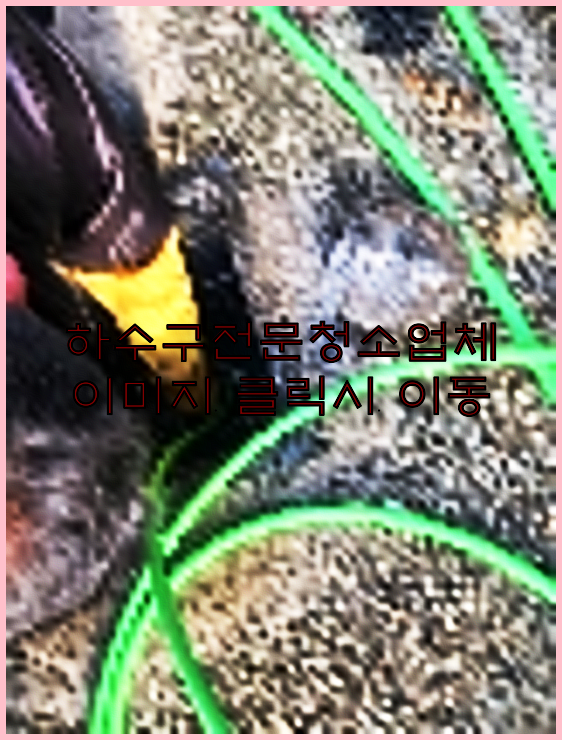 하수구청소