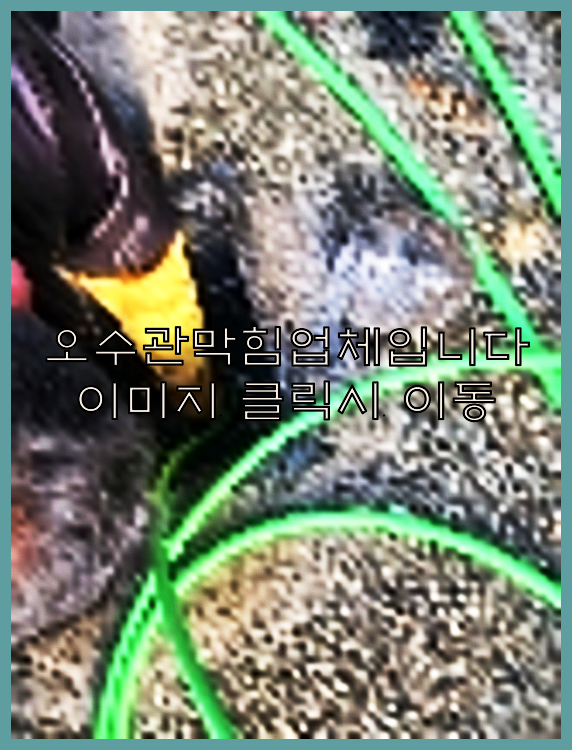 고압세척