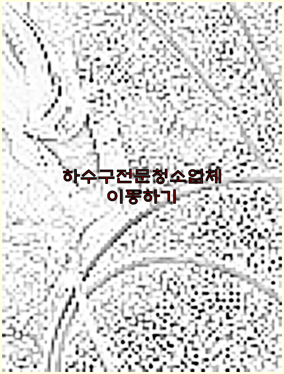 하수구
