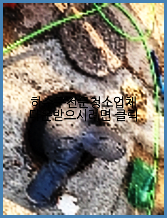 하수구청소