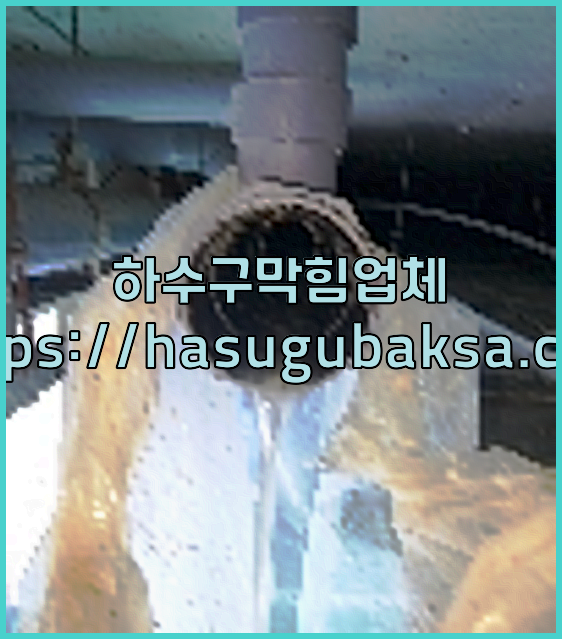 하수구막힘