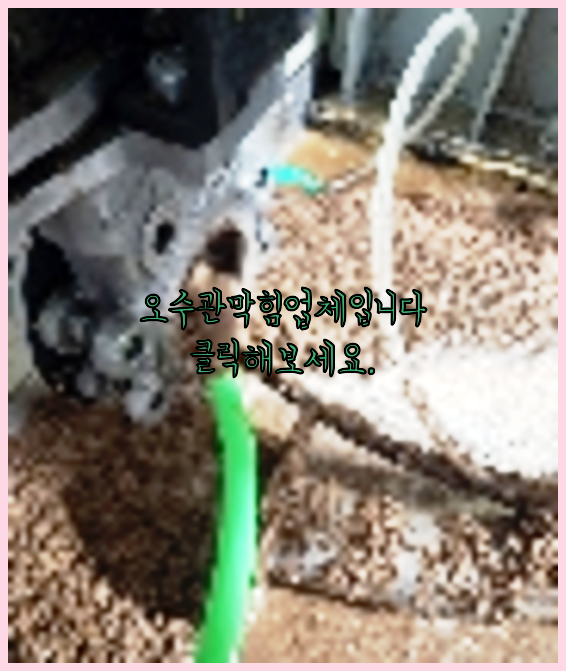 하수구