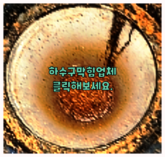 하수관막힘