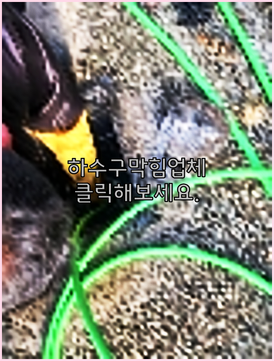 하수구