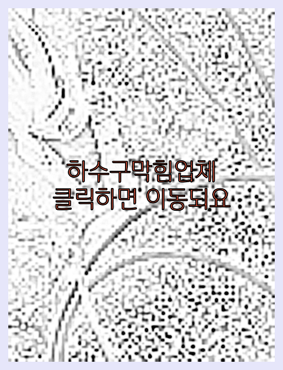 하수구막힘