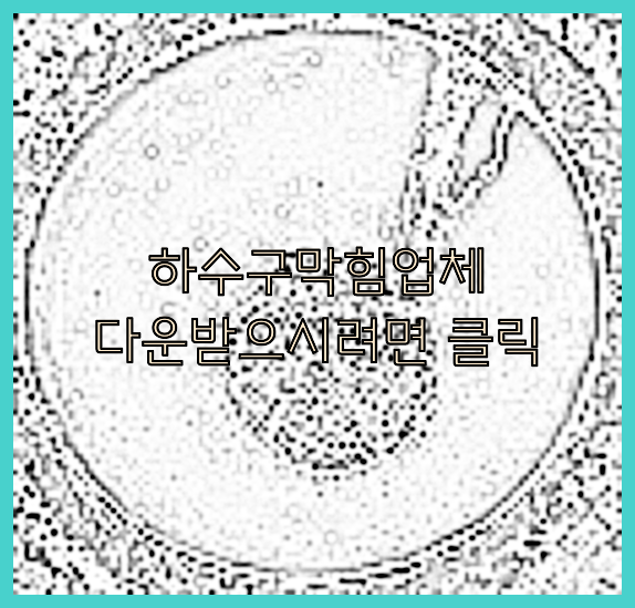 하수구청소