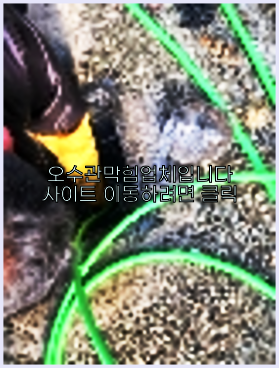 하수구막힘