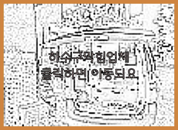 하수구청소