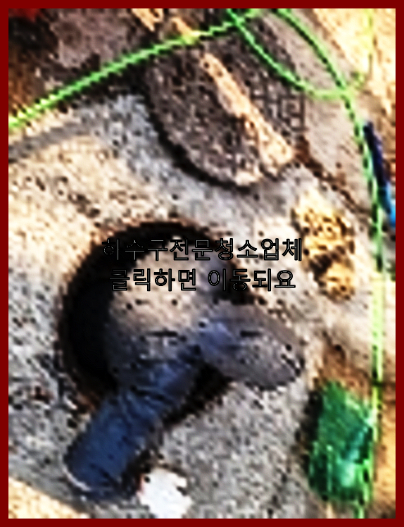 하수구
