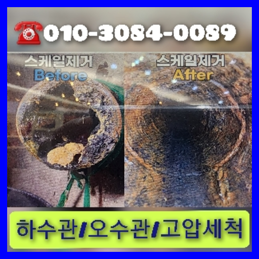 변기역류