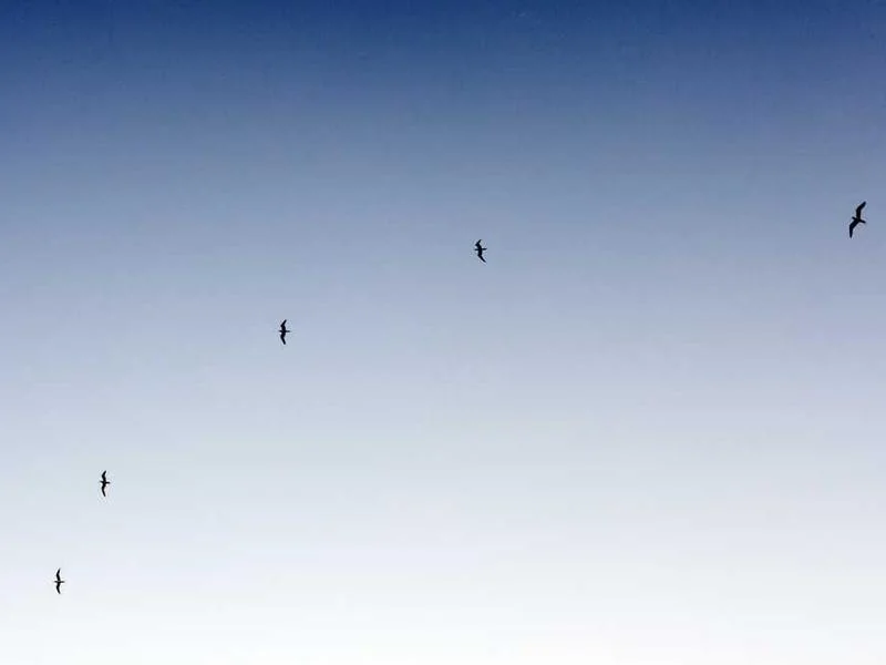 용산구오수관막힘 용산구오수관뚫는업체