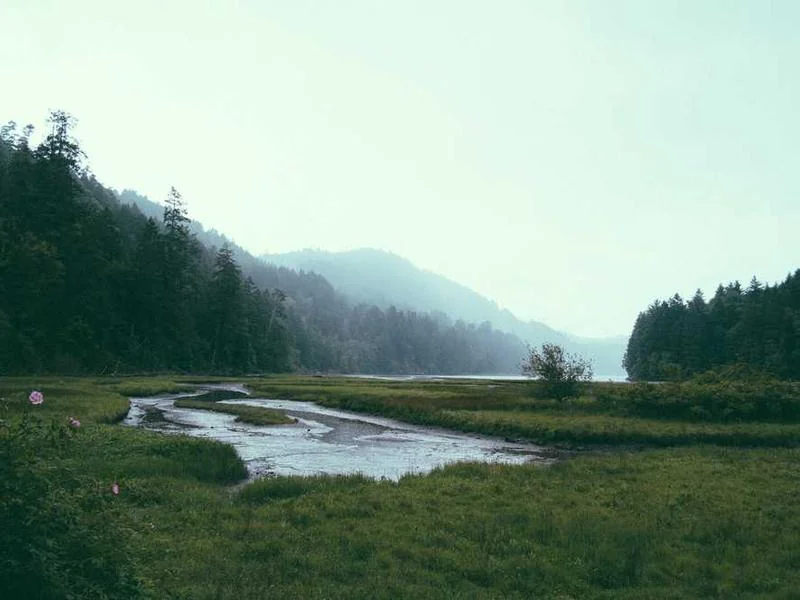 용산구오수관막힘 용산구오수관뚫는업체